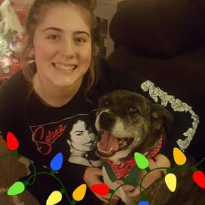 Meet your Posher, Bailey